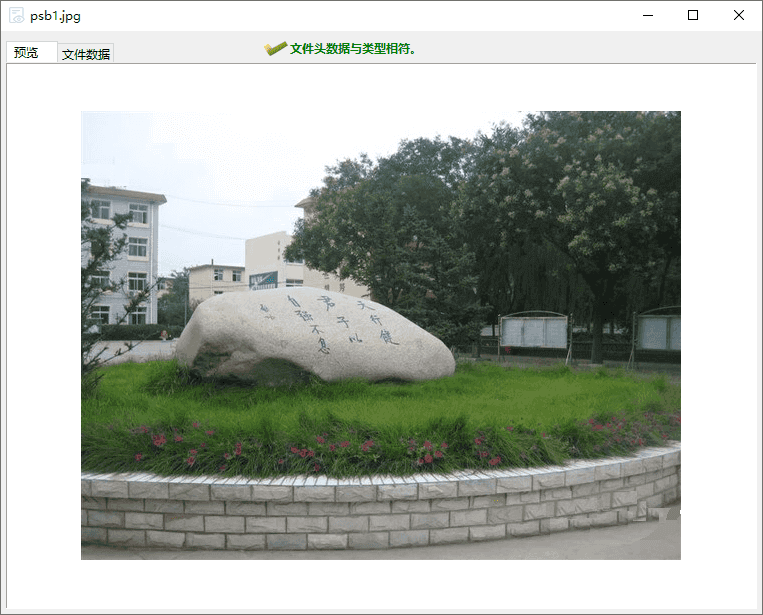 diskgenius预览文件