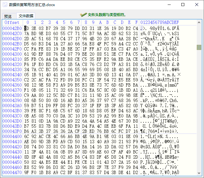 diskgenius预览文件