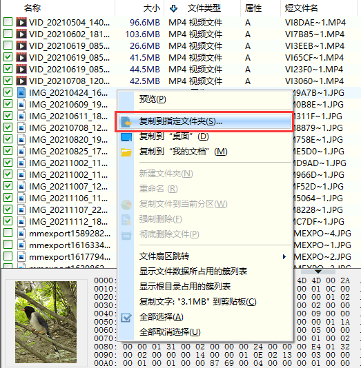 sd卡变成了raw格式